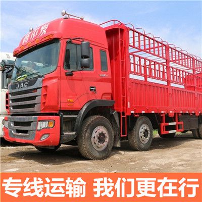 河源到臺灣新竹縣物流專線